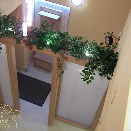 Orchidea Apartamento *