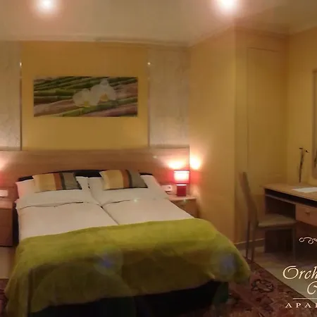 Orchidea Budapest