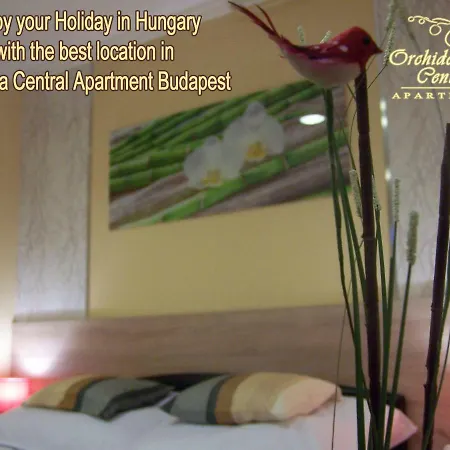 Orchidea Budapest