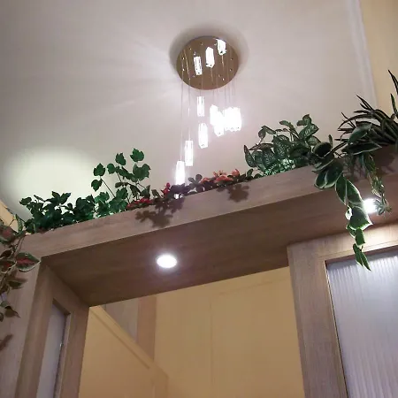 Orchidea * Budapest