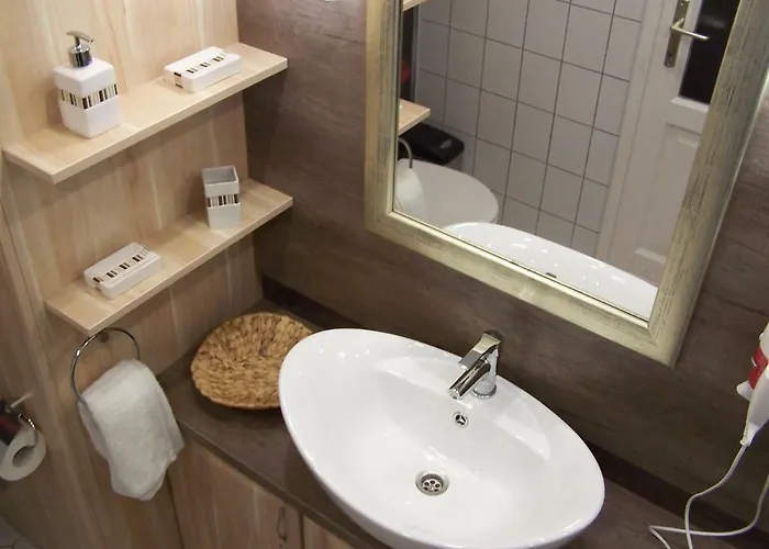 市中心兰花公寓 *