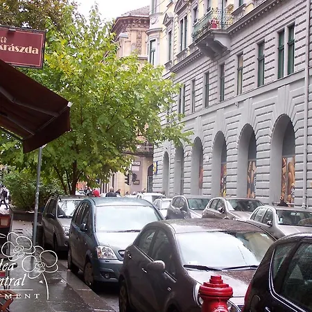 公寓 市中心兰花公寓 *