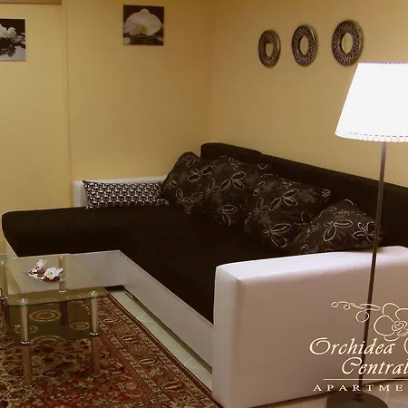 市中心兰花公寓 *