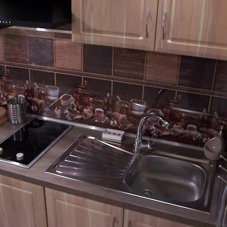 市中心兰花公寓 公寓 *