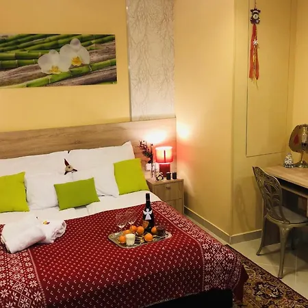 市中心兰花公寓