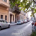 Orchidea * Budapeşte