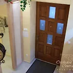 Orchidea Budapeşte