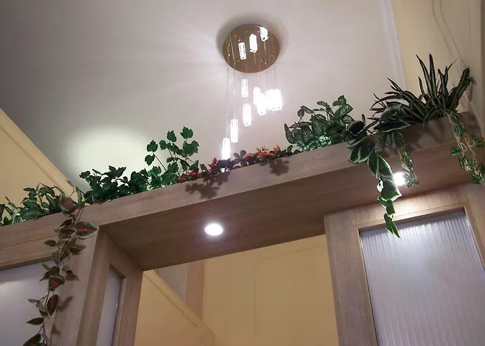 Orchidea * Budapest